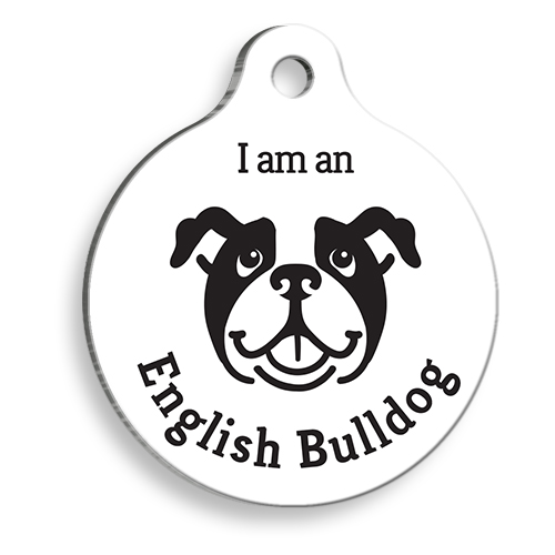 Beyaz English Bulldog Yuvarlak Köpek Künyesi
